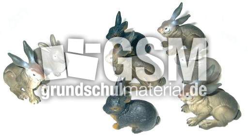 Hasen2+6.jpg